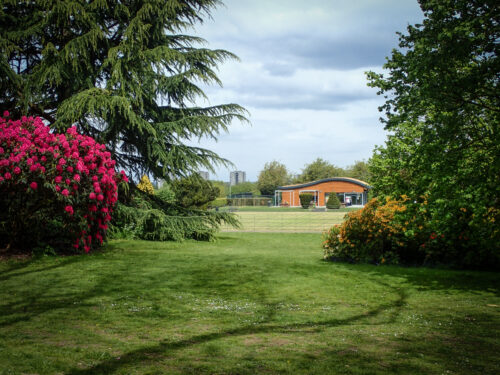 View of the Lodge through trees