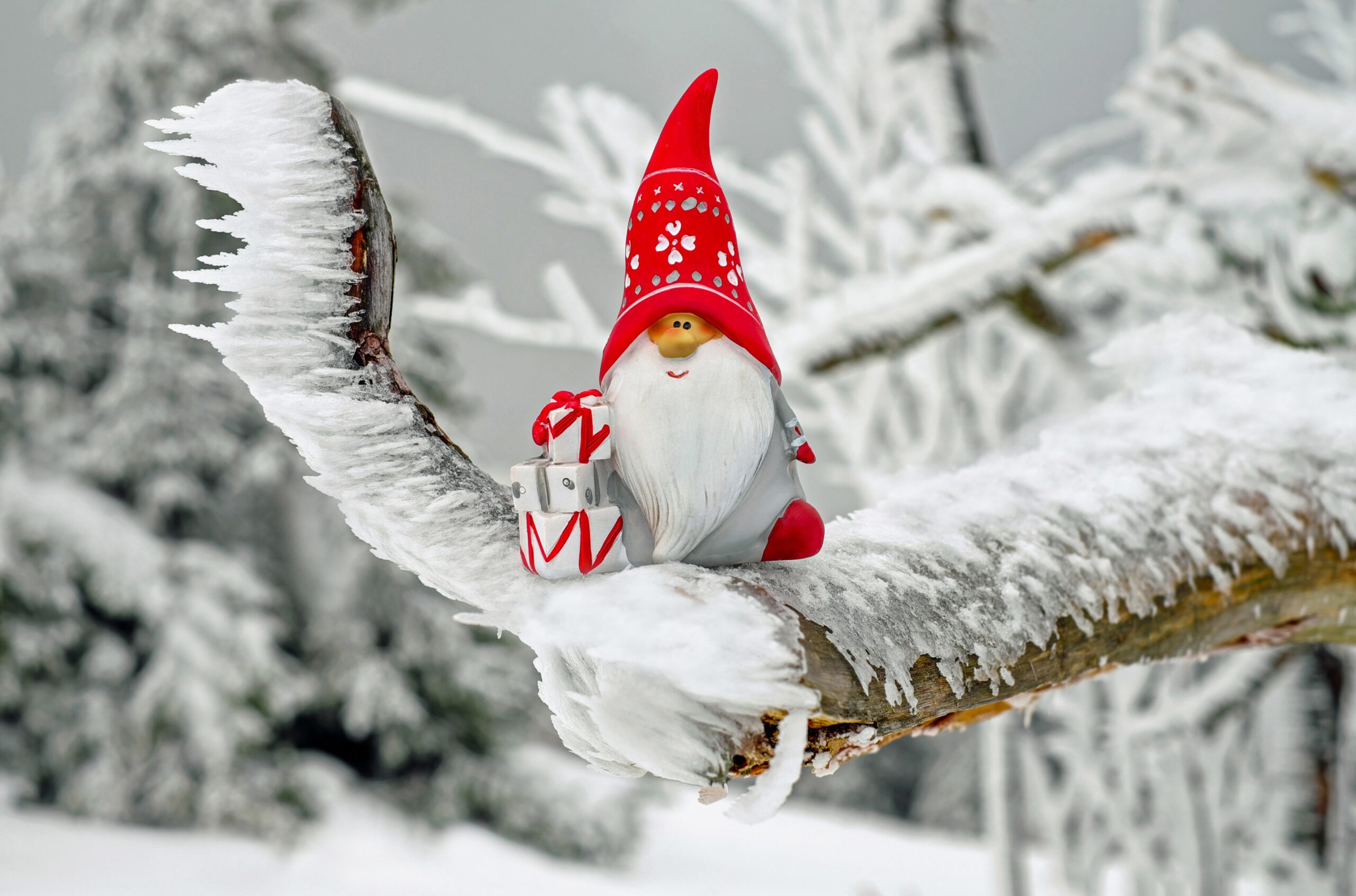 picture of santa claus toy on a snowy branch