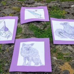 purple ink and pencil drawings of animals