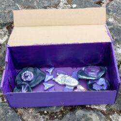 purple box containing fossils