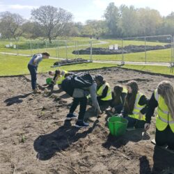 Nine students in a line digging up artifacts at Lesnes Abbey