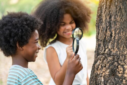 Two children with magnifying glasses looking for bugs on a tree