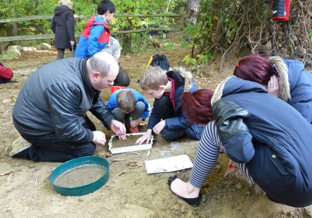 Fossil finding