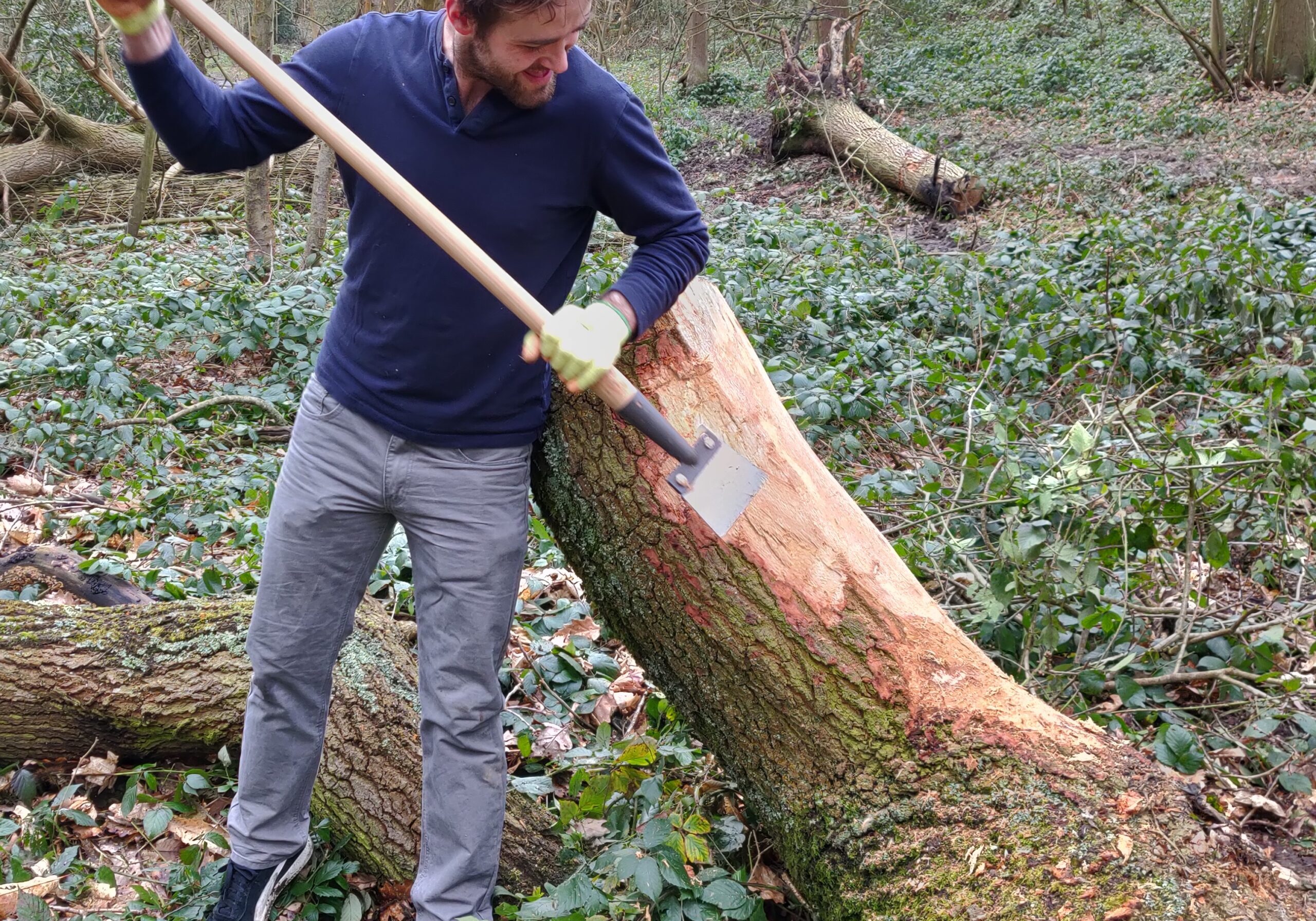 Trimming bark from a tree-stump