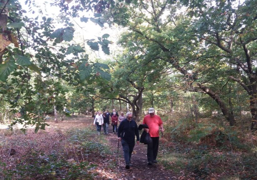 Walking group in the woods