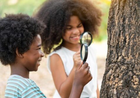 Two children with magnifying glasses looking for bugs on a tree