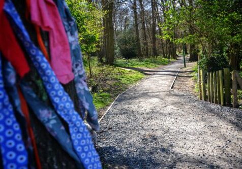 Cloth garland round a tree and path