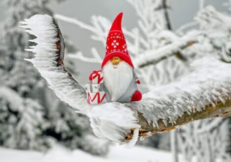 Santa gnome figure sat on snowy branches